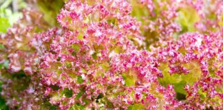 Jak często zmienia się pościeli w hotelu?