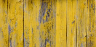 Czy farbowanie włosów zabija wszy?