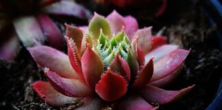 Jakiej grubości igły?