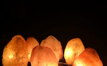 Czy jonizator zabija roztocza?