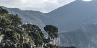 Ile kosztuje igłą w aptece?