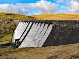 Czy Elana się gniecie?