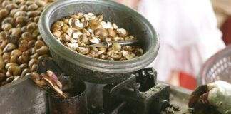 Jak pozbyć się gnid domowym sposobem?