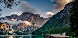 Jak posprzątać dom po wszach?