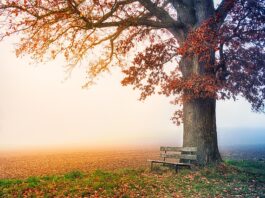 Jak poznać że ktoś coś ukrywa?