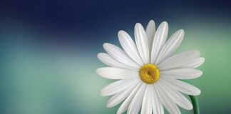 Czym smarować biały język?