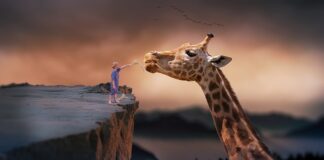 Co robić by żyć zdrowo?