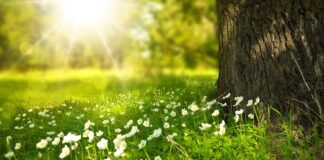 Co trzeba zrobić zęby mieć białe zęby?