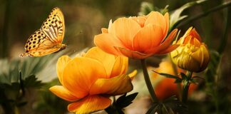 Czy zbyt długie mycie zębów szkodzi?