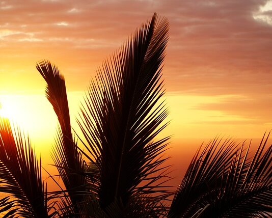 Jak wygląda stan zapalny dziąsła?