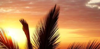 Jak wygląda stan zapalny jamy ustnej?