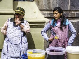 Jak długo fermentuje kombucha?