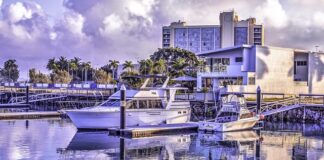 Jaki kupić koncentrator tlenu do domu?