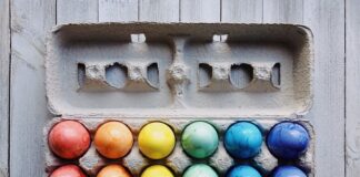 Ile jajek można podłożyć pod kaczkę?