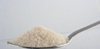 Czy cukrzyk może pić Kombuchę?