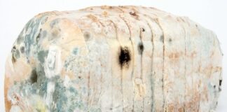 Jak zdezynfekować igłę?