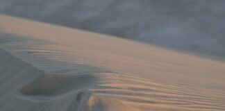 Czy czosnek w nosie pomaga na katar?