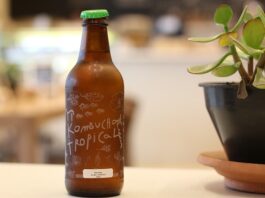 Jak wygląda kombucha?