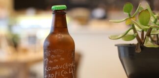 Czy kombucha to to samo co matka octowa?