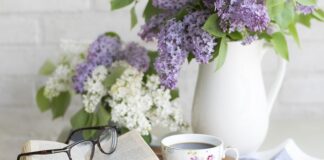 Z jakiej herbaty kombucha?