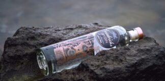 W jakiej temperaturze giną jaja wszy?