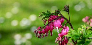 Skąd się bierze wodnisty katar?