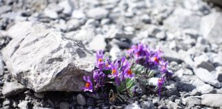 Co zrobić żeby nie śmierdziało mi z pochwy?