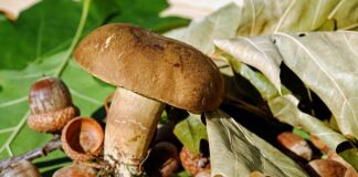 Jak dbać o wargi sromowe?